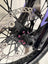 Pinch Bolts (set of 4)