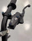 Formula Brake Reservoir Titanium Bolts