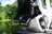 Streetbeam Wheelie Light