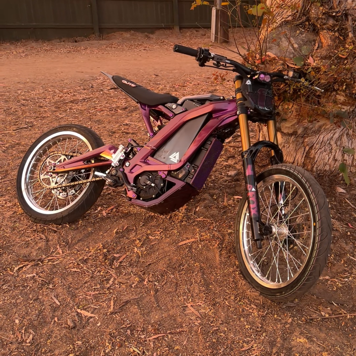 Surron Light Bee/Segway/Falcon/79 Bike Titanium Bolt Kit